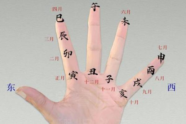 一掌算命