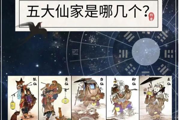 求线上算命平台