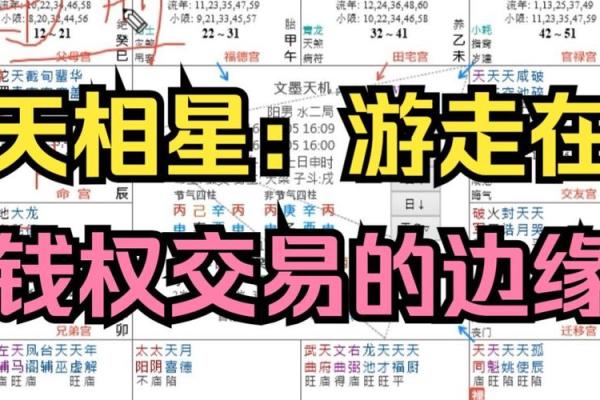 紫薇斗数财帛天相得