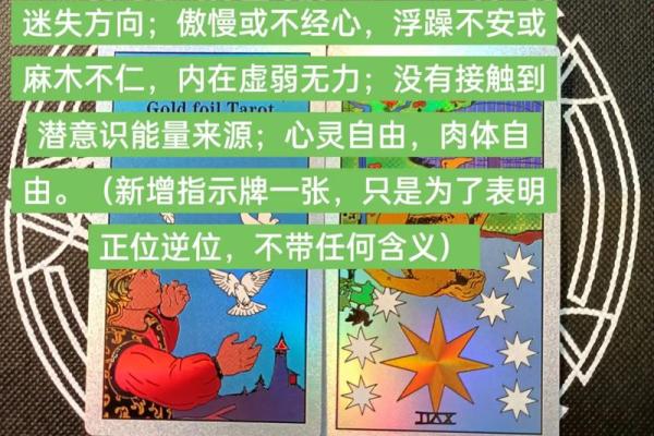 塔罗测试：未来两个月你的学习运势如何