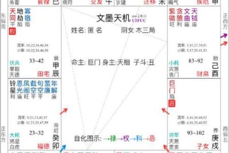 紫薇斗数反推生辰