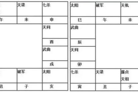 紫薇斗数排盘步骤