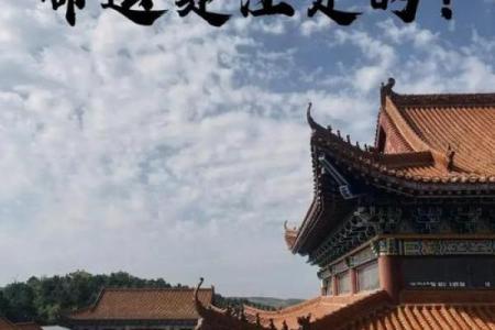创业与八字