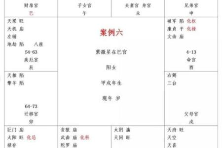 紫薇斗数巨富的条件