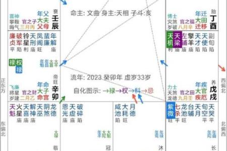 紫微斗数乱国 紫微斗数太准？