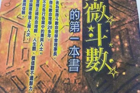 紫薇斗数奏书