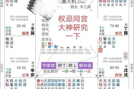 紫薇斗数名词