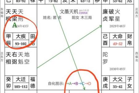 紫薇斗数正崾