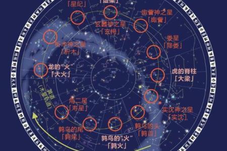 手相木星环算命解析