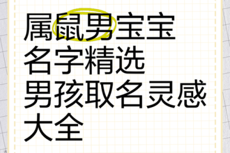 属鼠丑时的男孩应该怎样取名字，宜用哪些字姓名