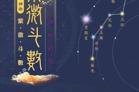 紫薇斗数32星曜