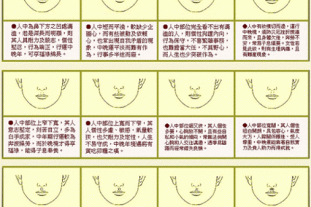 女人能算命吗为什么