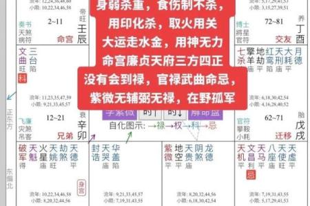 紫薇斗数批八字模式