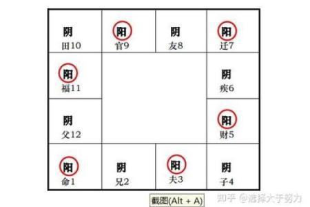 紫薇斗数官禄宫配偶