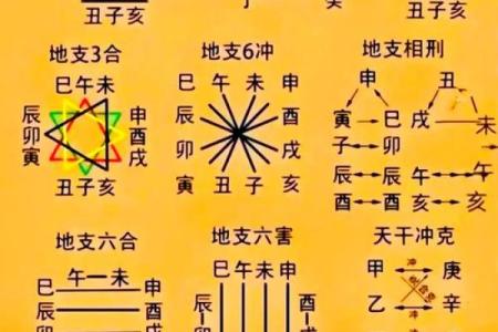 女命八字比肩劫财多，争夫无疑