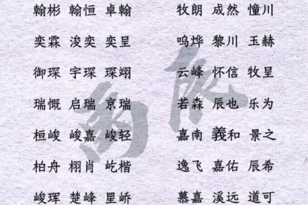 2019年3月19号子时出生的男孩如何起名姓名