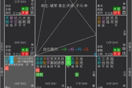 紫薇斗数流年怀孕
