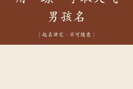属猴丑时出生的男孩怎样取名字，宜用哪些字姓名