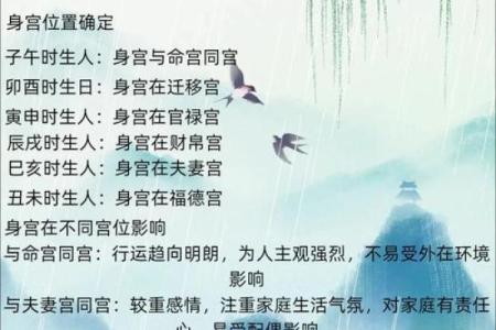 紫薇斗数偶身