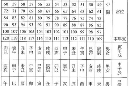 免费的紫微斗数排盘 免费紫微斗数排盘及含义？