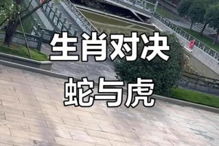 算命生肖婚配蛇配虎，蛇虎配对姻缘？