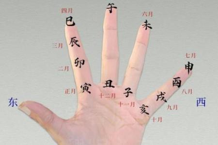 一掌算命