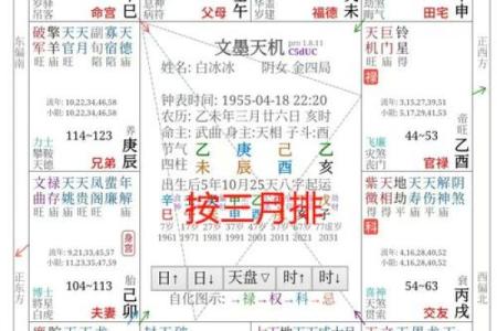 紫薇斗数古籍研究