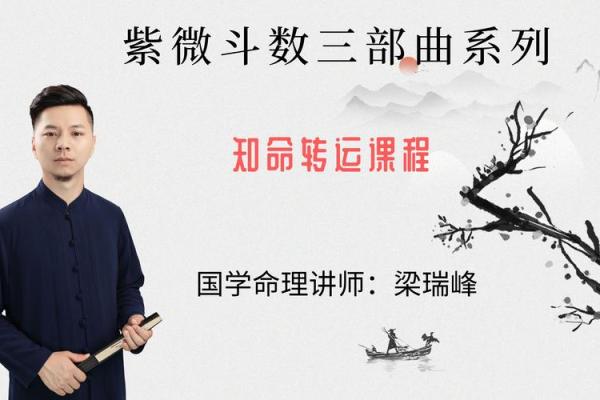 紫云紫薇斗数视频