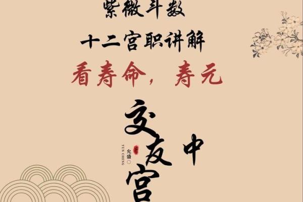 紫薇斗数测寿命