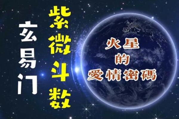 紫薇斗数看远行