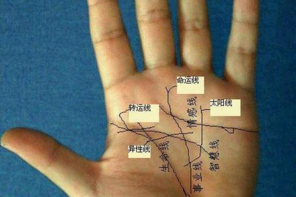 凯帝阿手相算命图解大全01