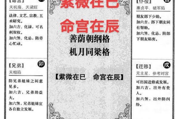 紫薇斗数科权