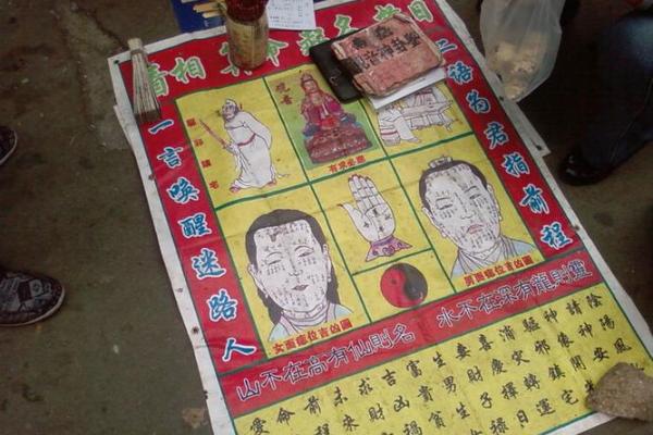 胖子给老太太算命的电影