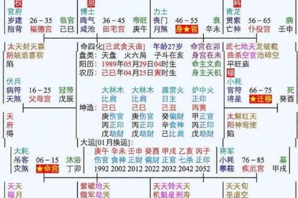 八字排盘详解破解版