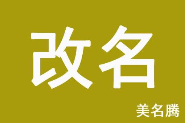 美名腾公司测名字打分测试