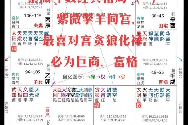 倪海厦会紫微斗数吗 倪海厦的紫微斗数准吗？