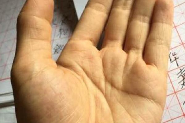 八字算命手相占卜