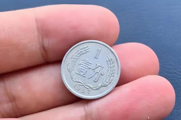用抛硬币法算命