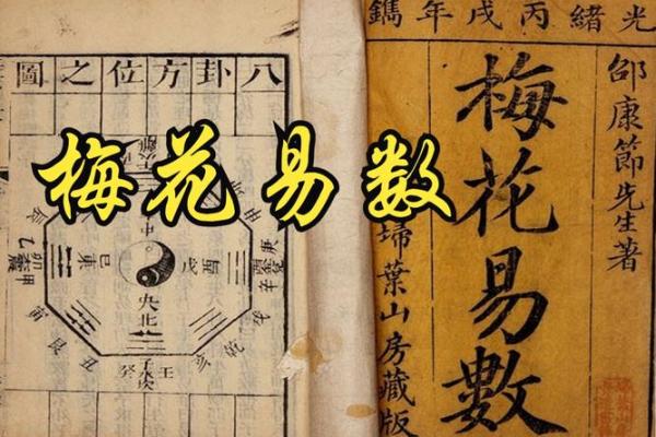 梅花易数紫薇斗数