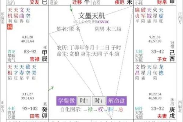 紫薇斗数寿限