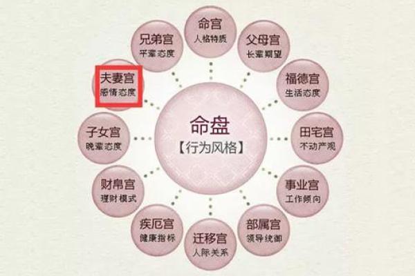 紫薇落在夫妻宫