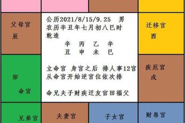 紫薇斗数地啥意思