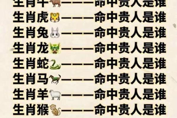 八字对应生肖