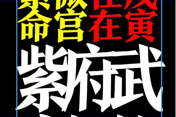 紫薇斗数紫府朝斗