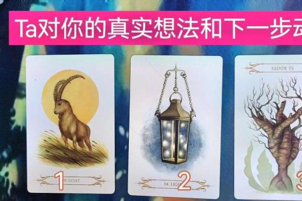 塔罗测试：近期你能不能和暧昧对象表白？