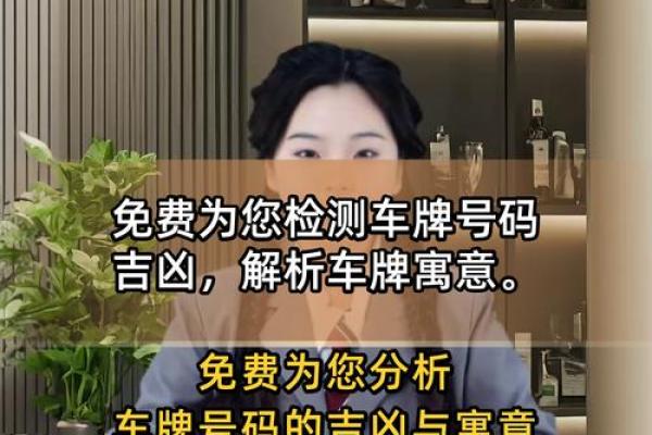电瓶车车牌号码吉凶测试