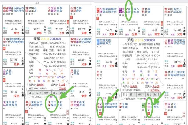 紫微斗数诸星落诸宫之：天相星田宅宫详解