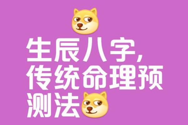 八字智慧