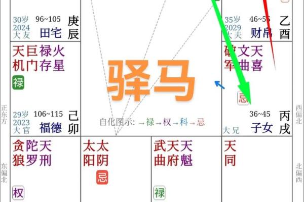 紫薇旺落疾厄宫