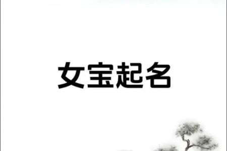 取名网生辰八字免费